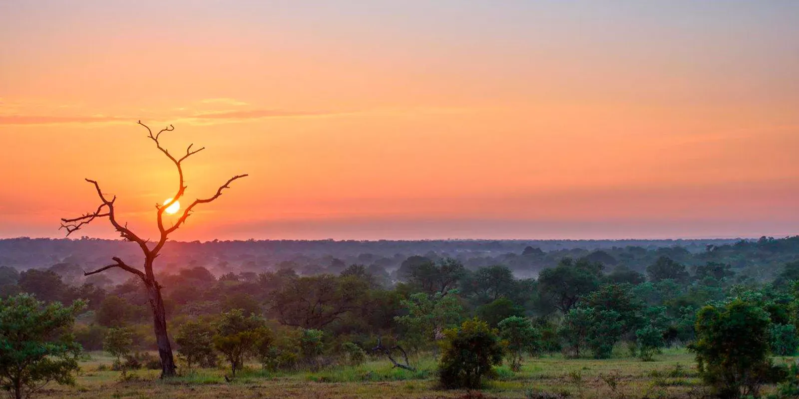 África do Sul com Crianças
