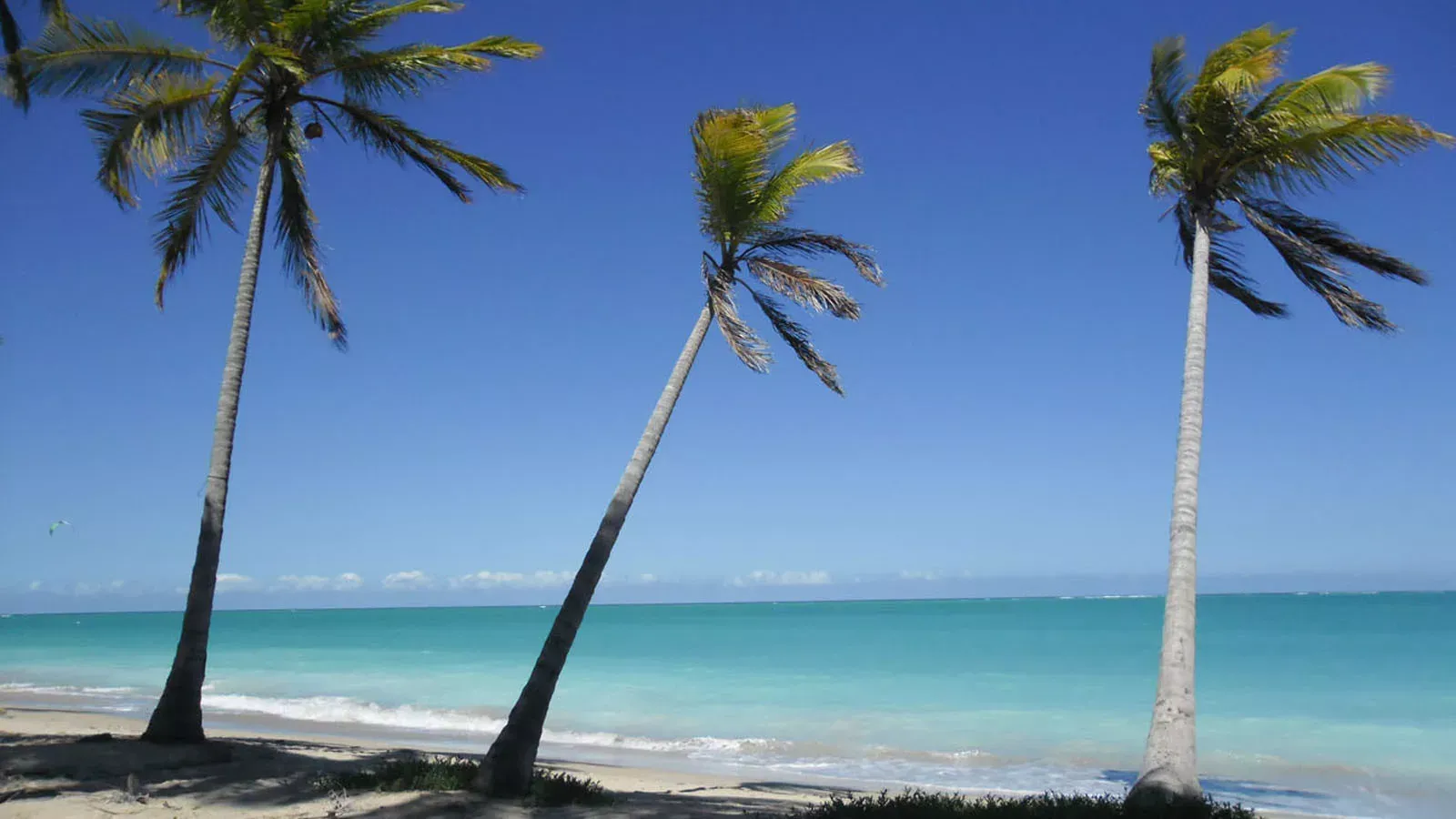 Pessoa em camelo no deserto