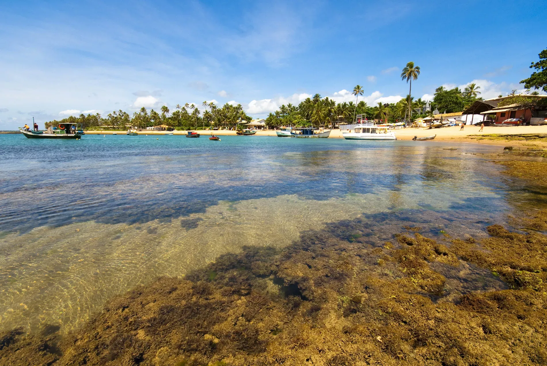 Ilha de Boipeba e Península de Maraú