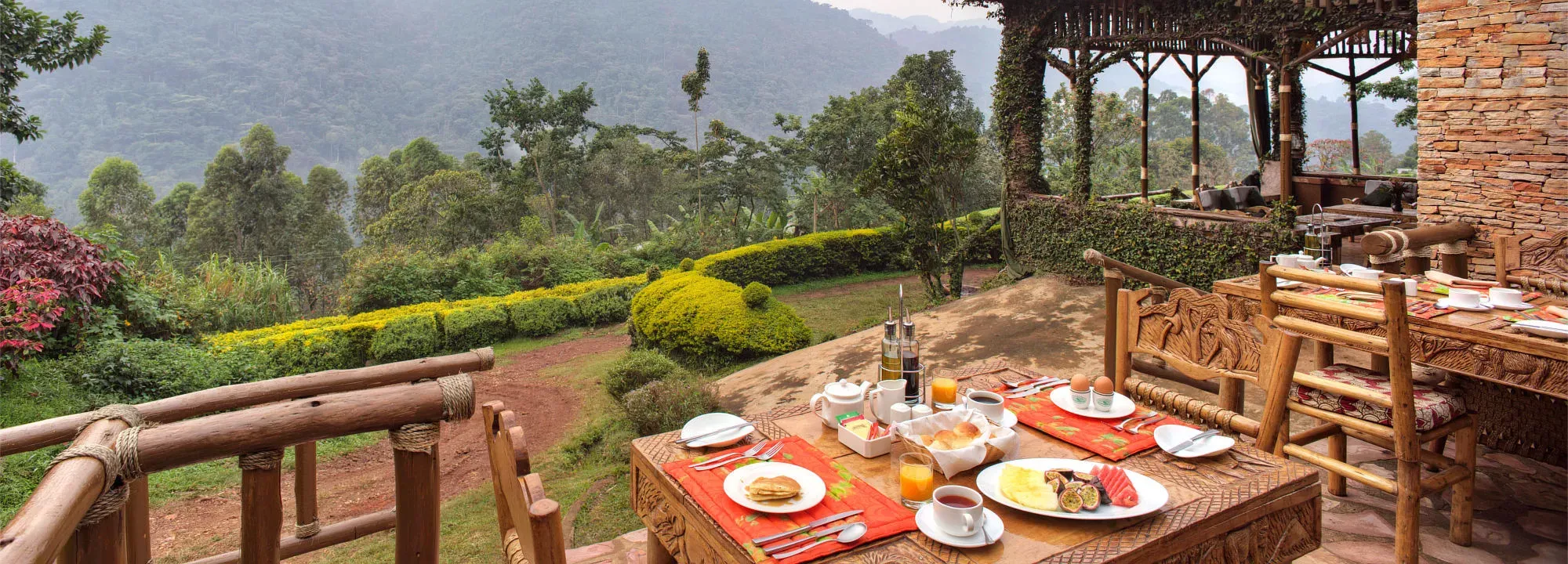 Gorilas de Uganda