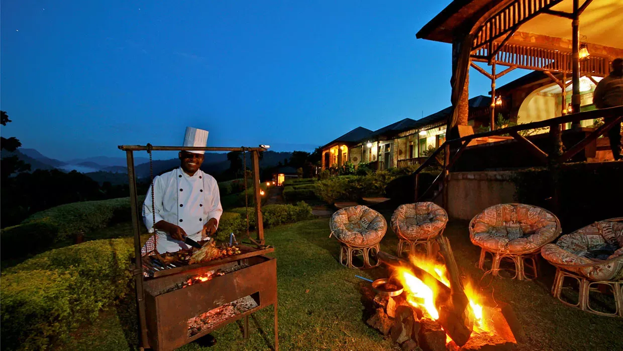 Gorilas de Uganda