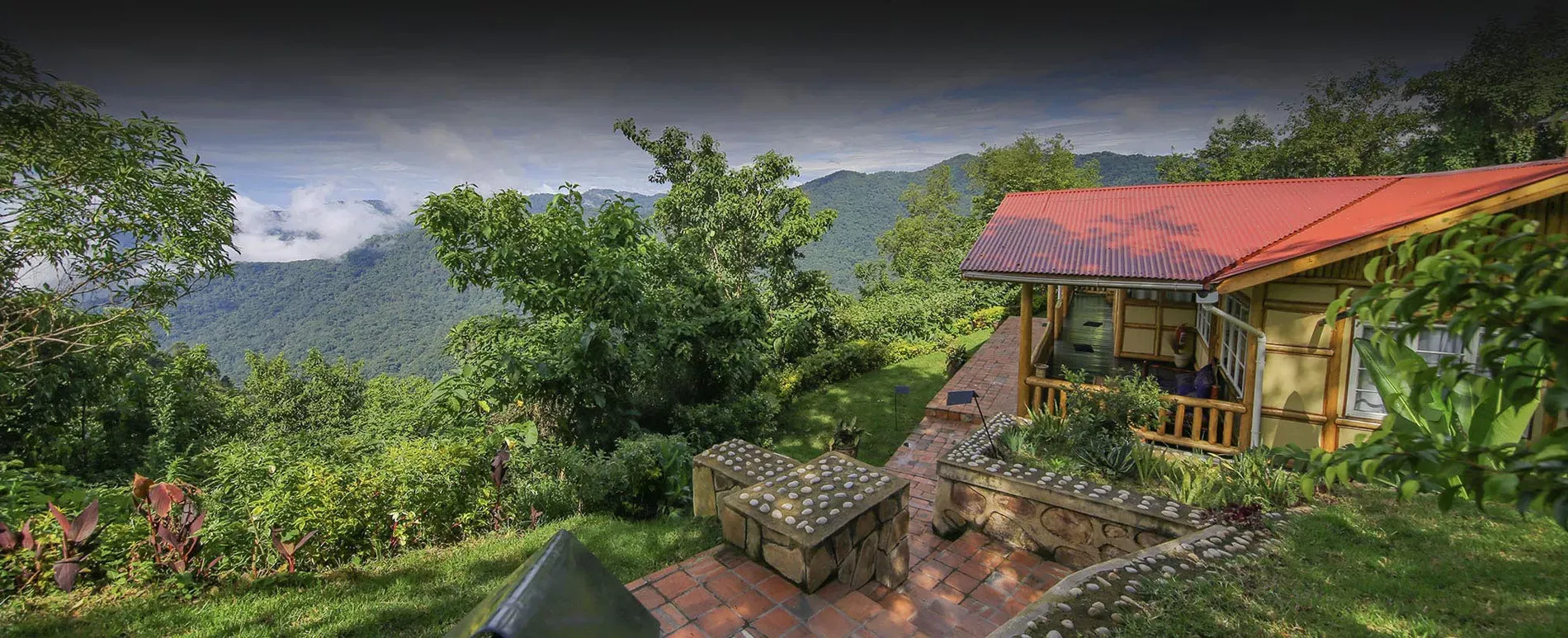 Gorilas de Uganda