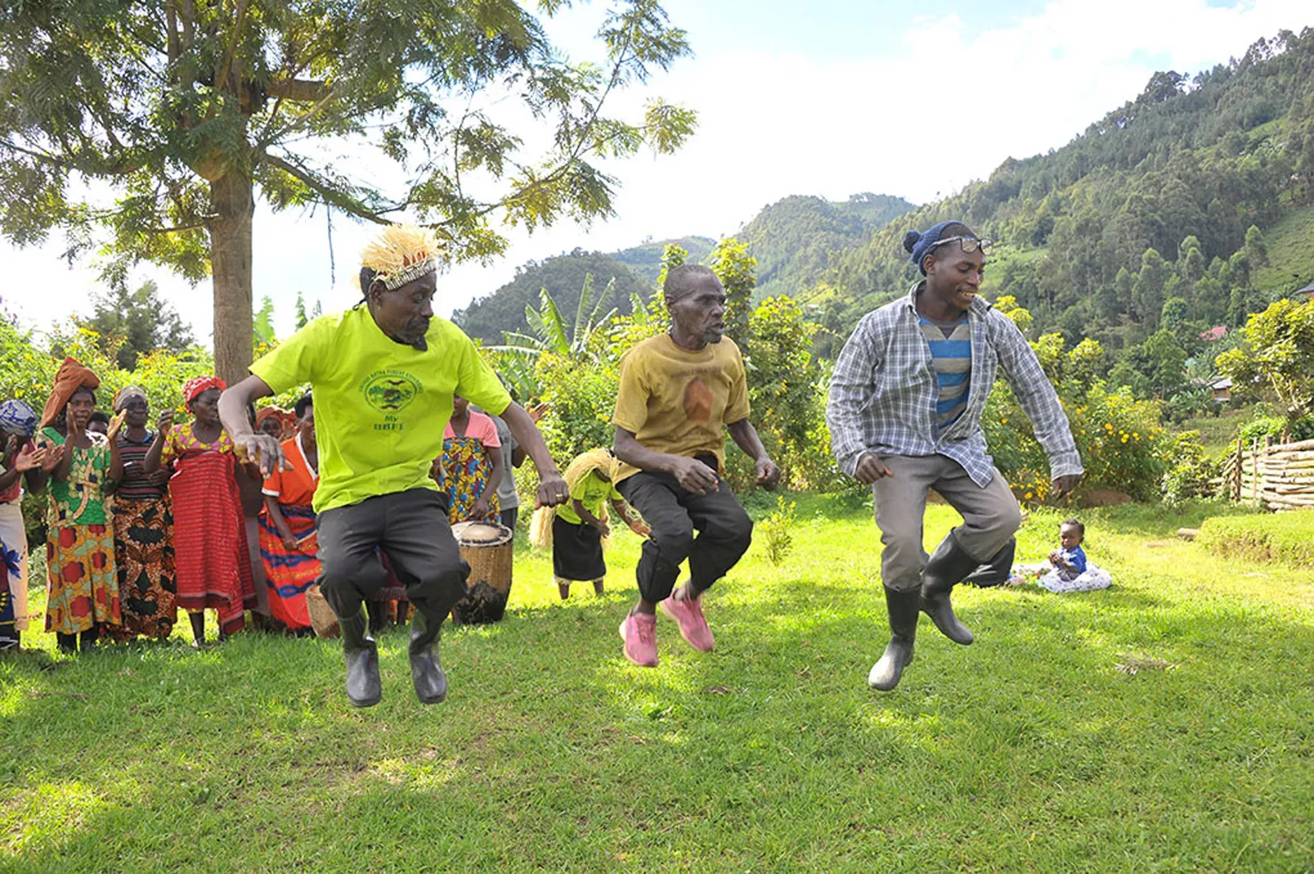 Gorilas de Uganda