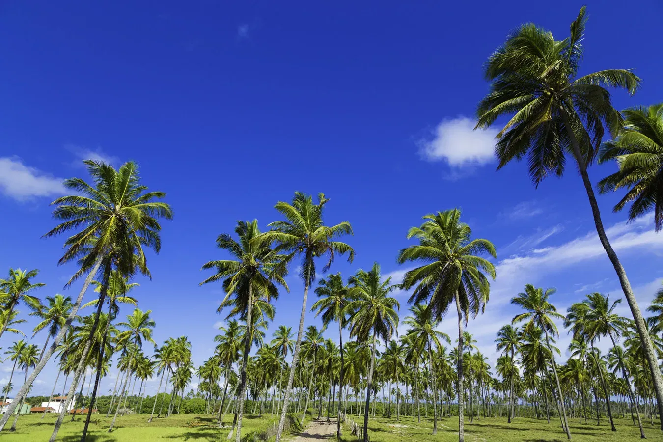 Porto de Galinhas