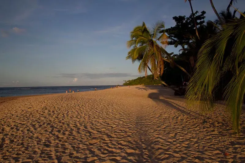 Pessoa em camelo no deserto