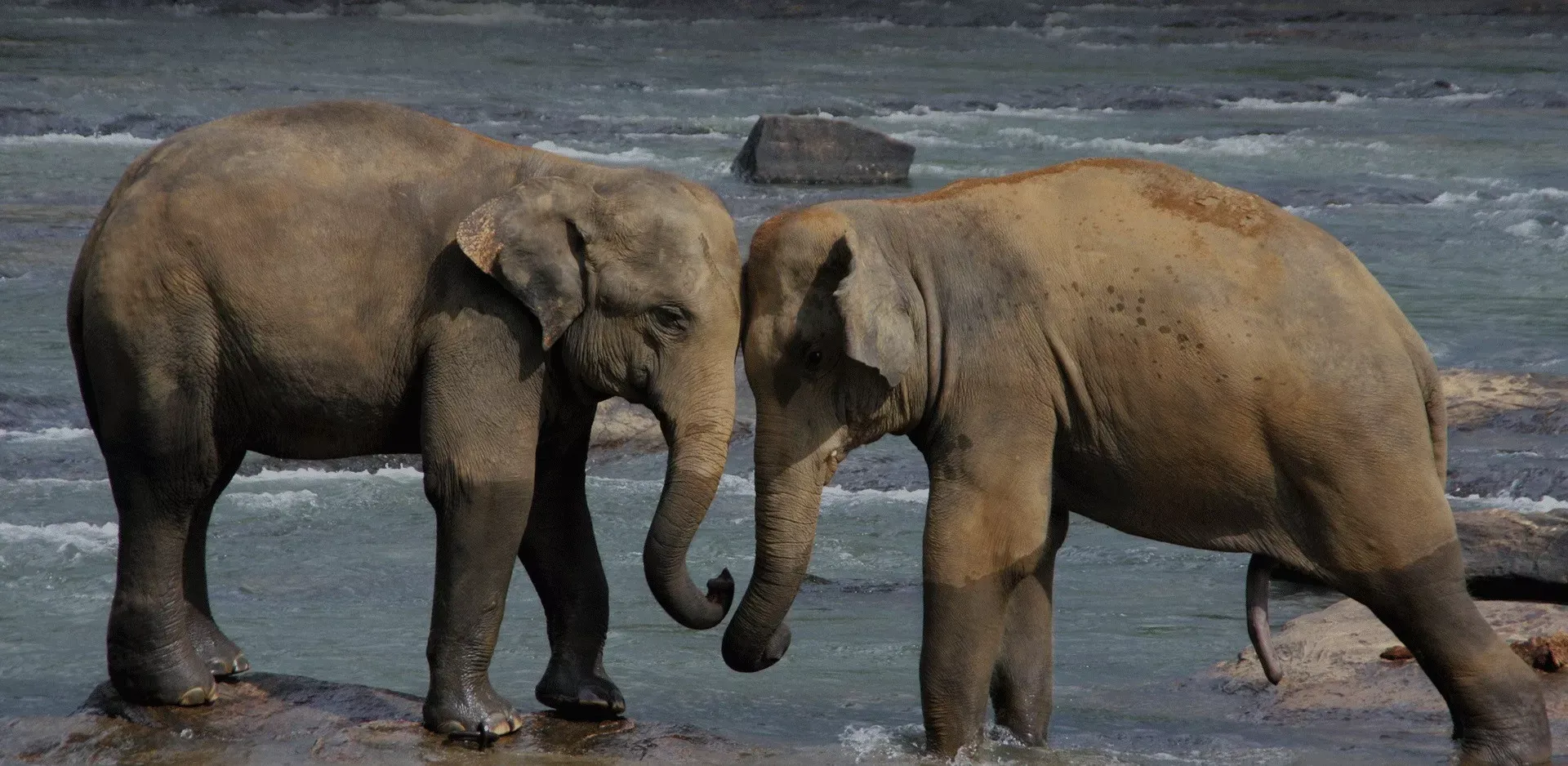Sri Lanka