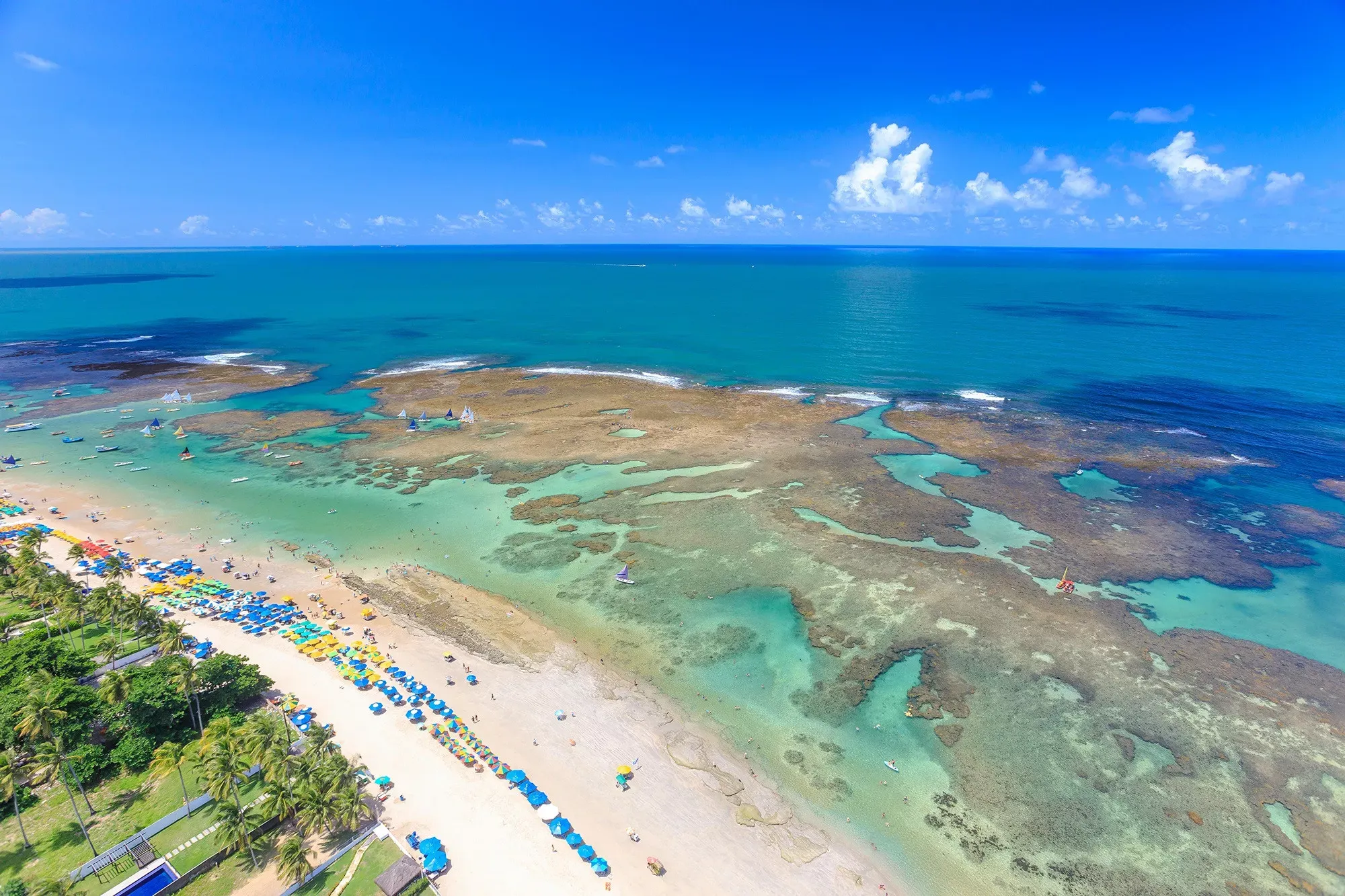 Pernambuco