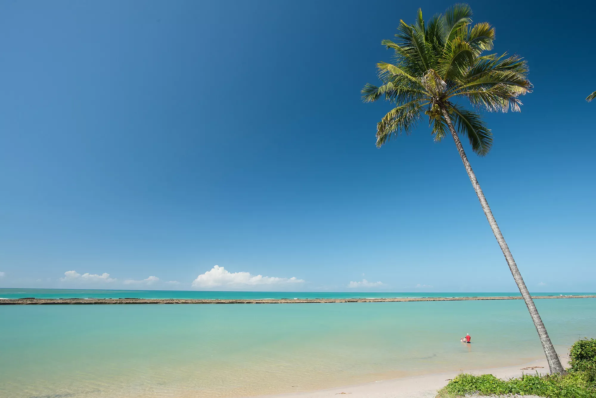Pernambuco