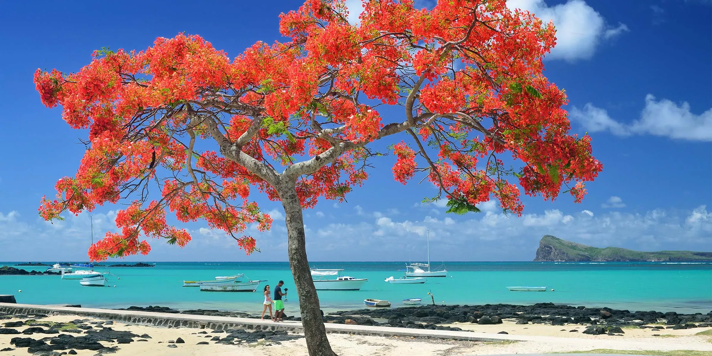 Ilhas Mauricio e África do Sul