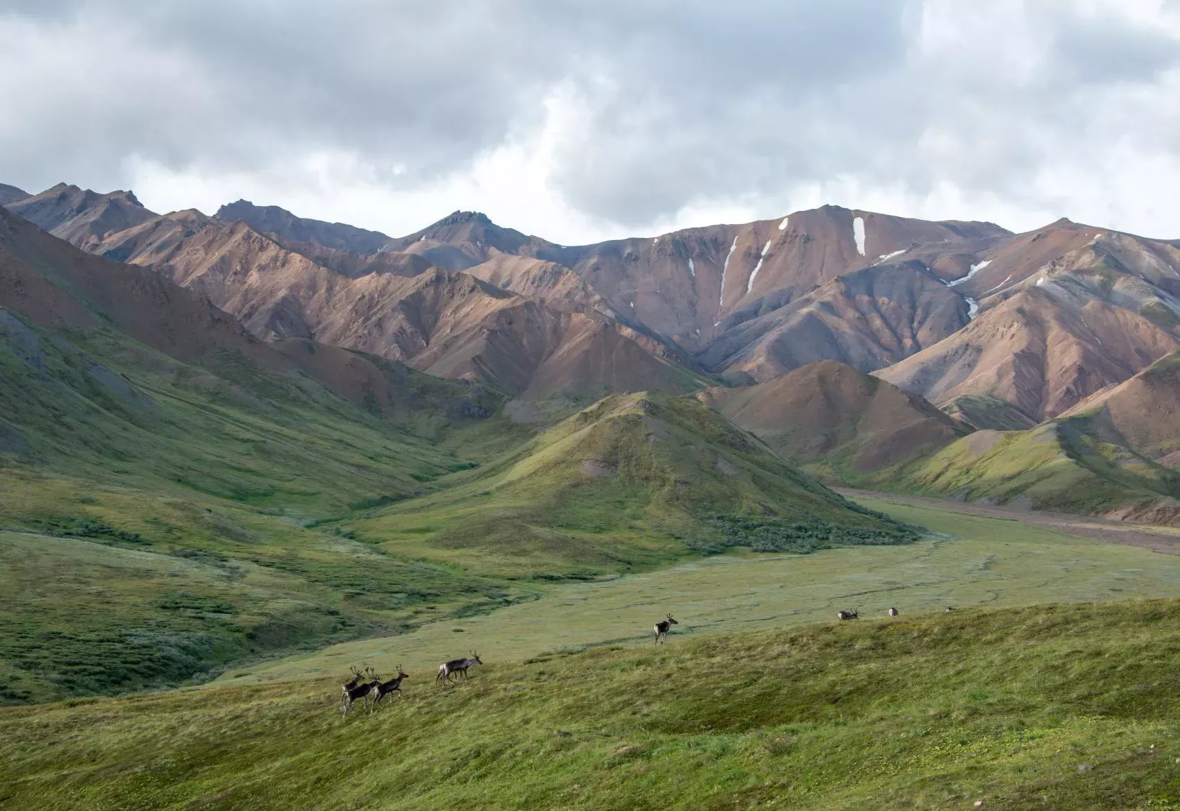 Alaska