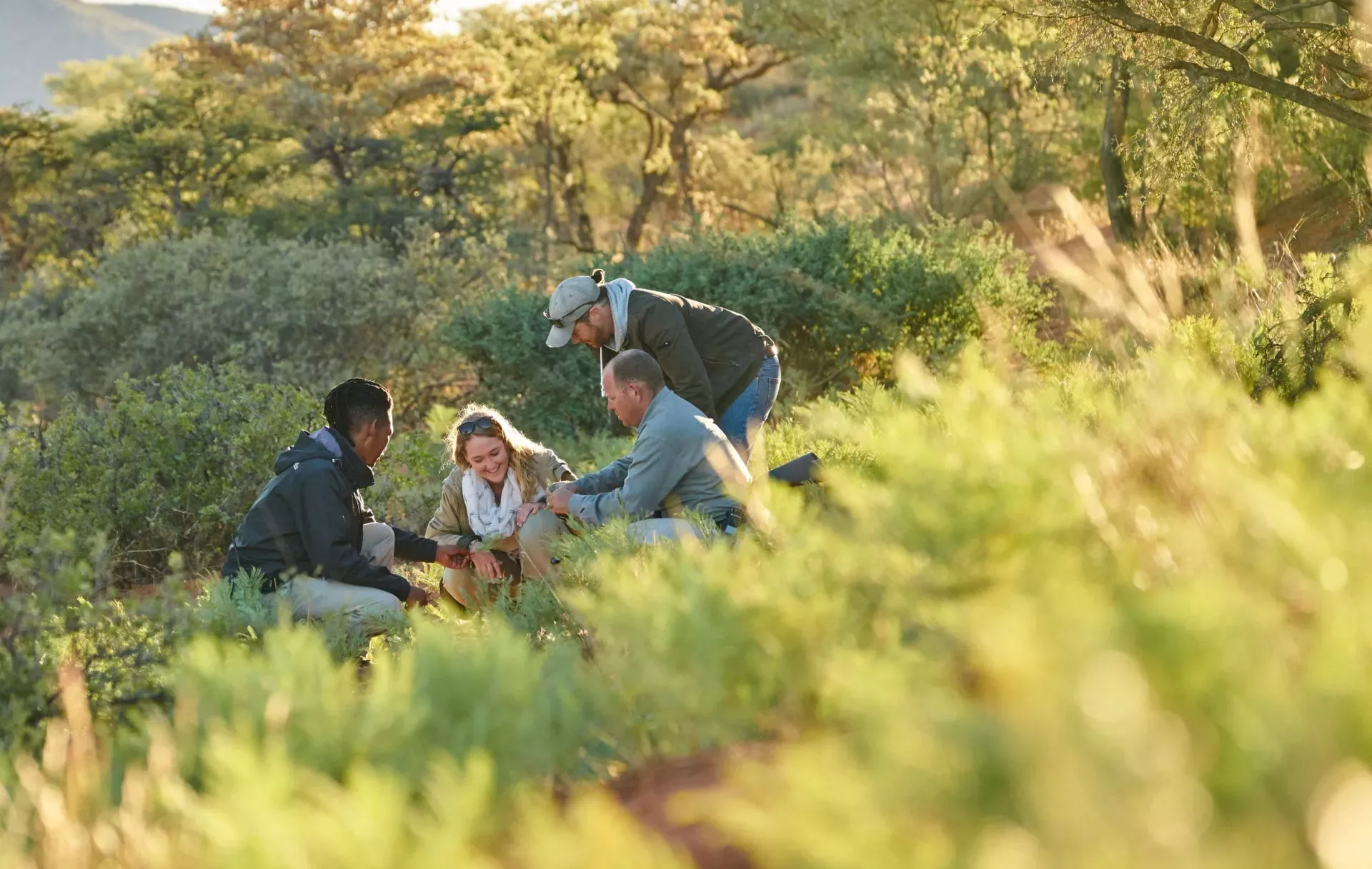 Safári África do Sul e Kalahari