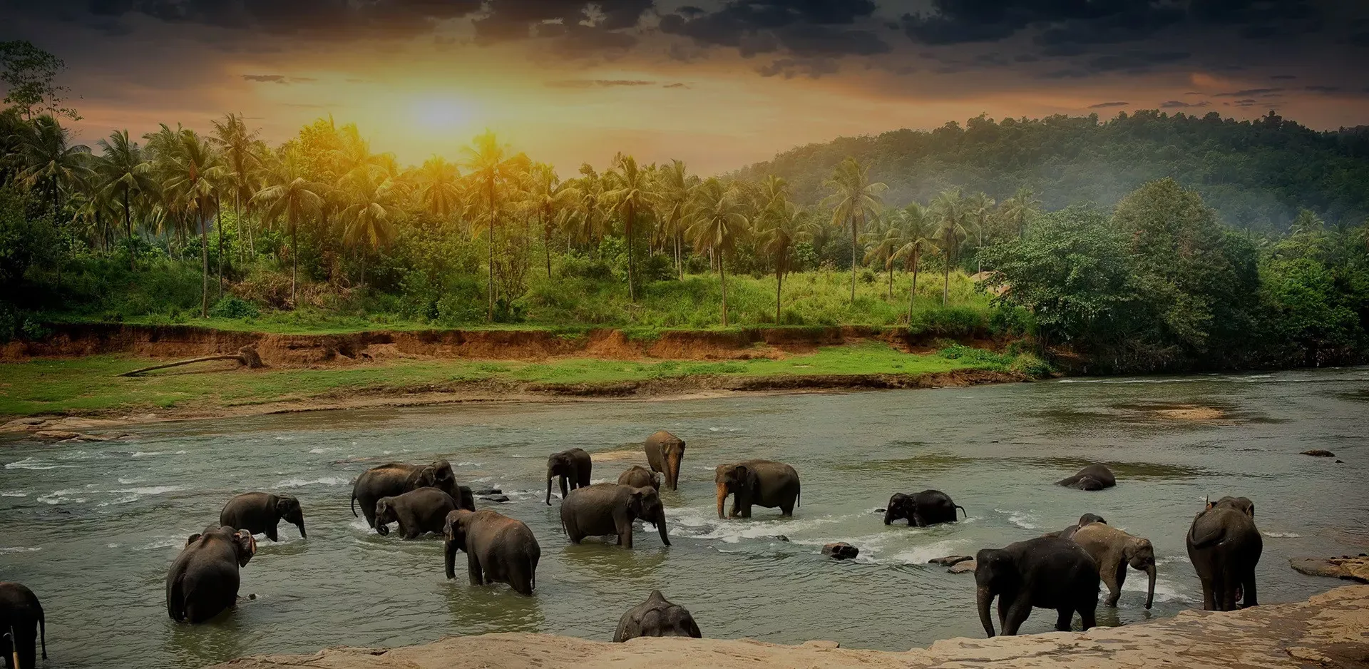 Sri Lanka