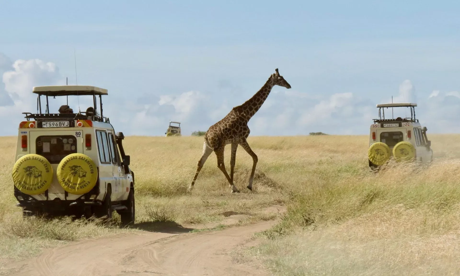 Tanzânia e Zanzibar com Safári