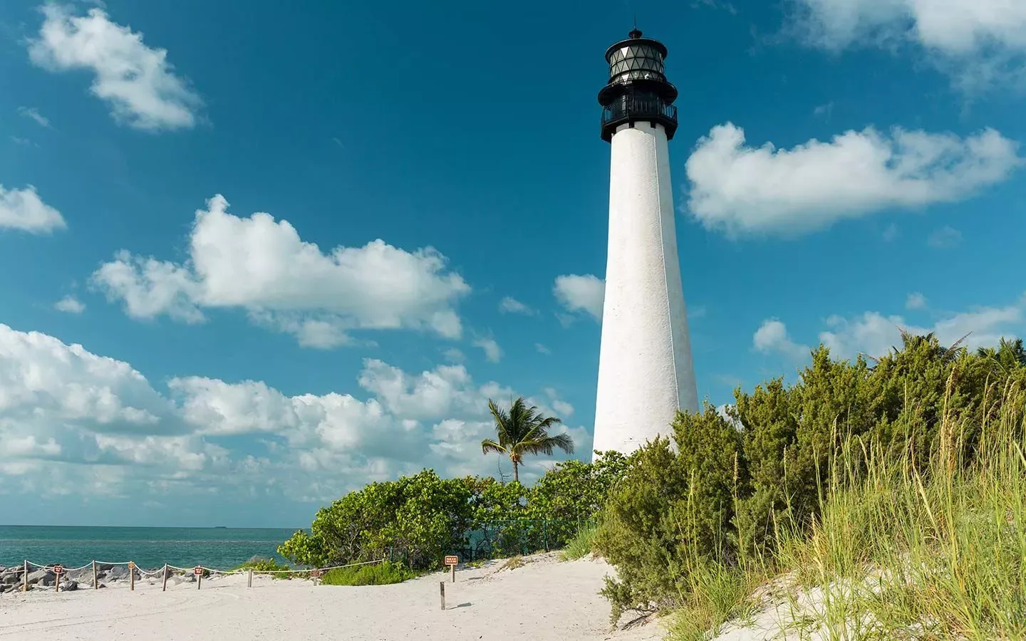 Cruzeiro e Compras: Miami & Bahamas