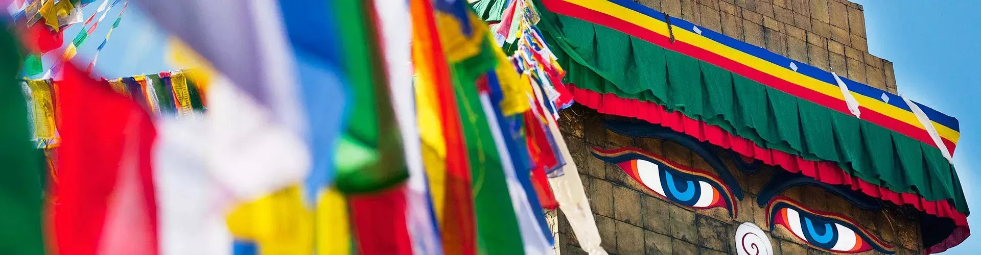 Pessoa em camelo no deserto