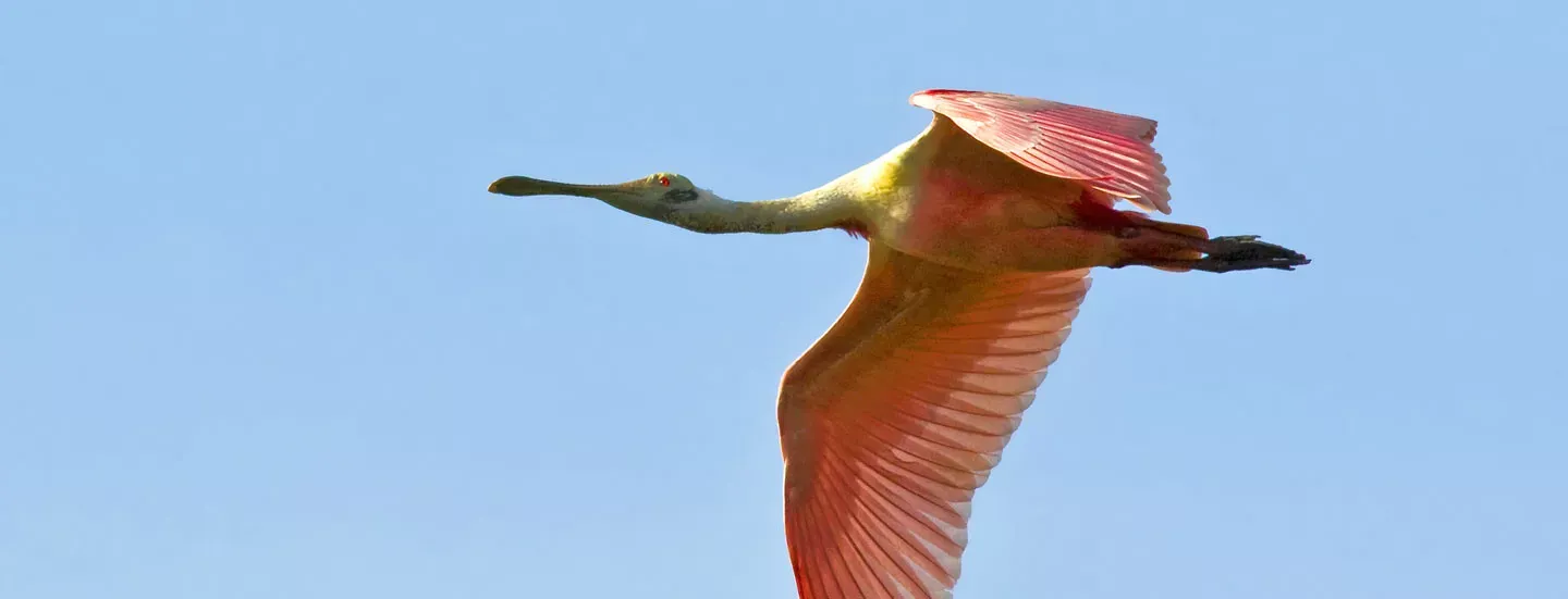 EcoTico-Spa & Territorio Selvagem - Guanacaste