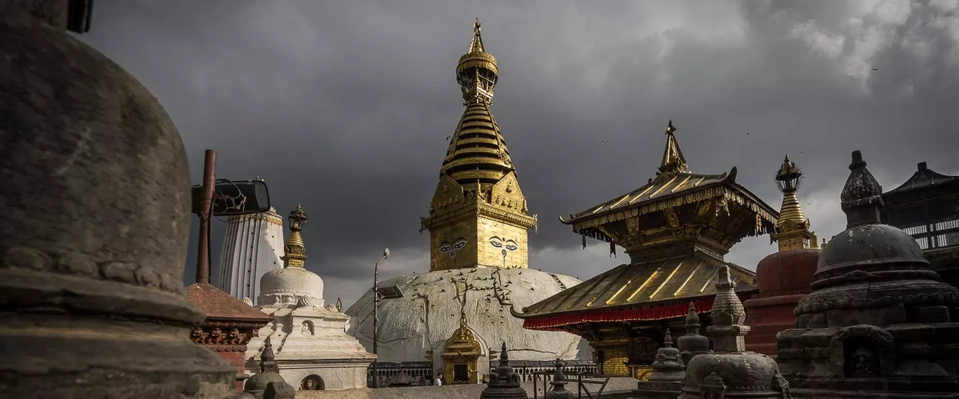 Pessoa em camelo no deserto