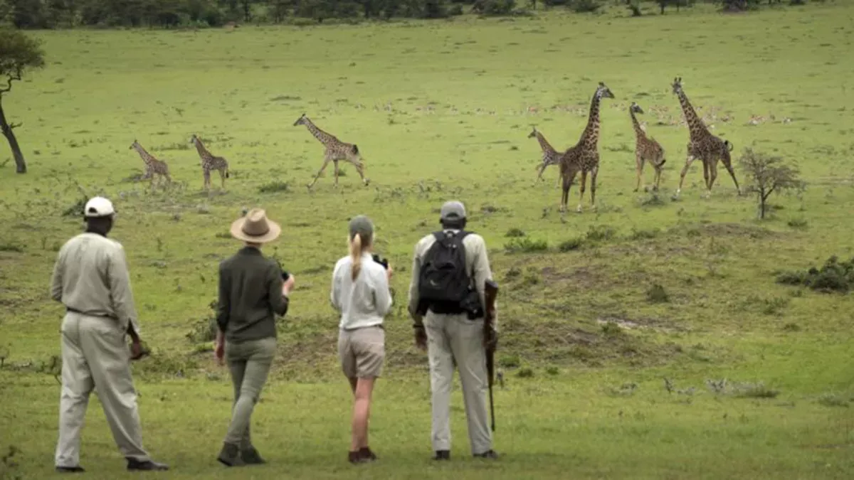 Quênia Safari em Família by andBeyond
