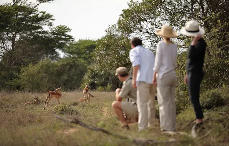 Grande Safari na África do Sul