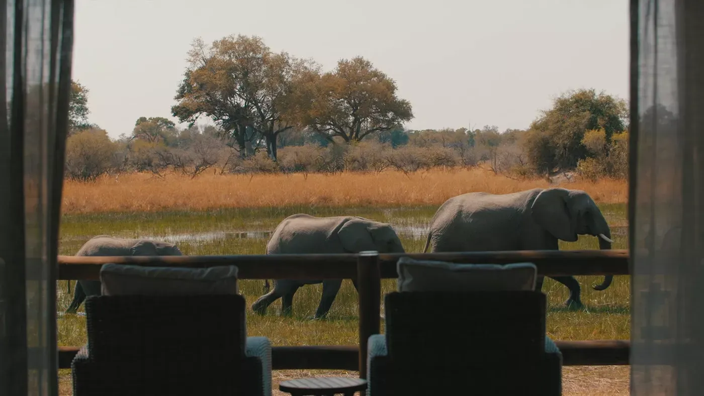 Safari em Botswana Privativo