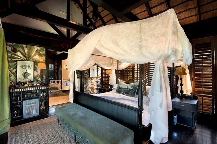 Grande Safari Deluxe na África do Sul