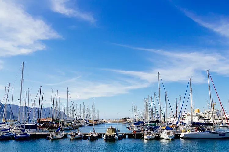 O Melhor da África do Sul - Deluxe