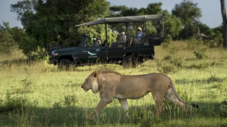 Tanzania  Safari