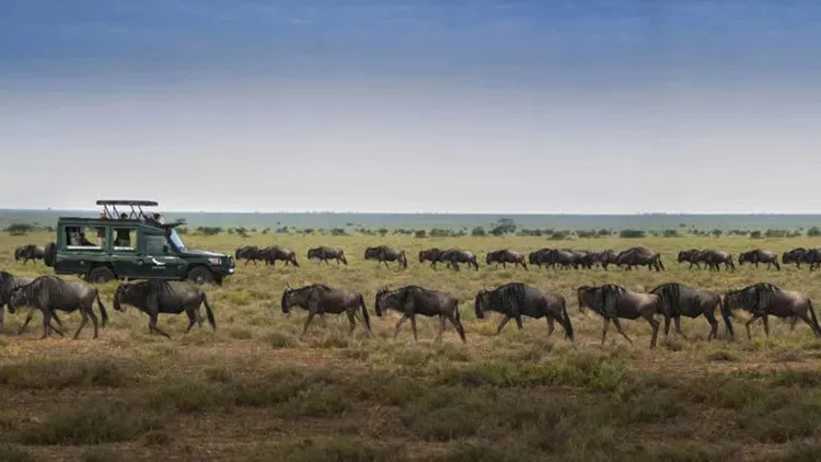 Tanzania_romantica