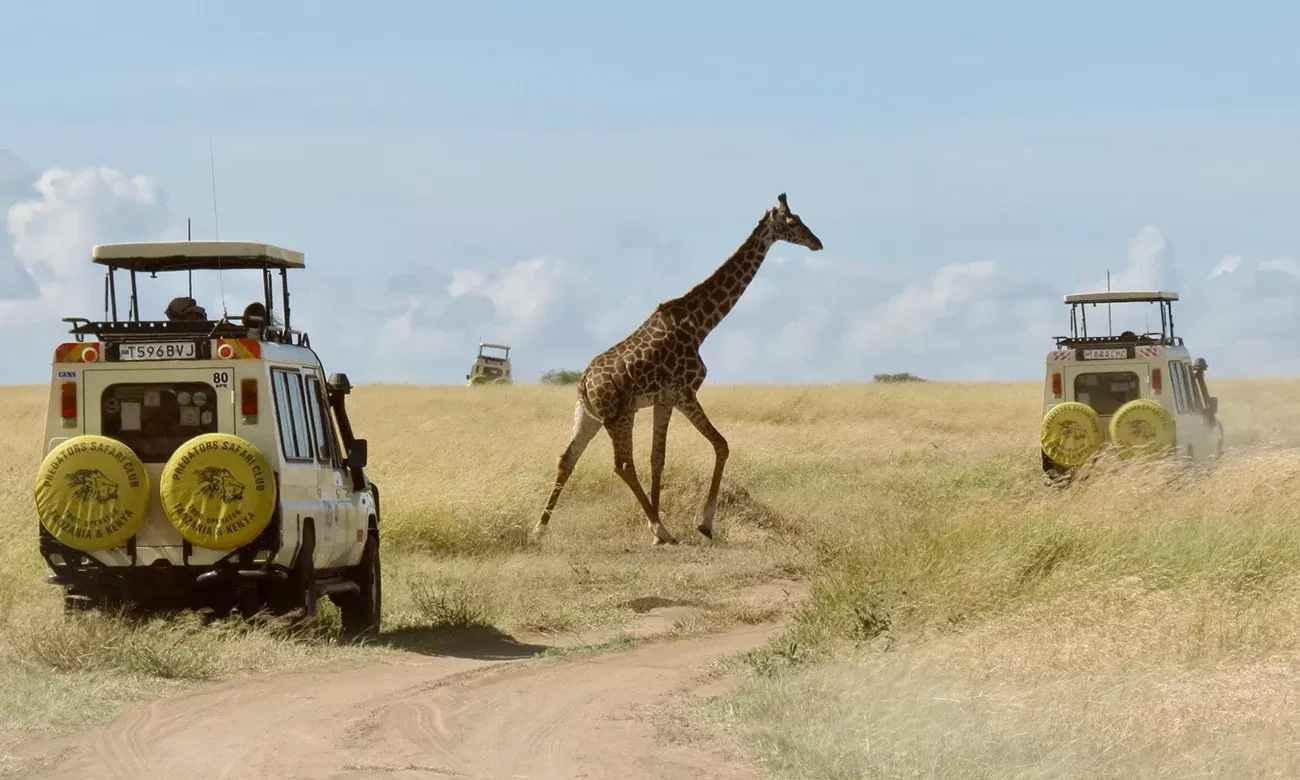 Tanzânia Inesquecível e Zanzibar