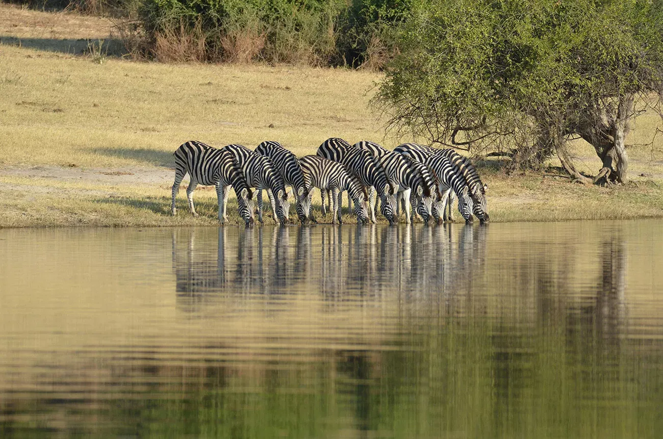 Tanzânia Inesquecível e Zanzibar