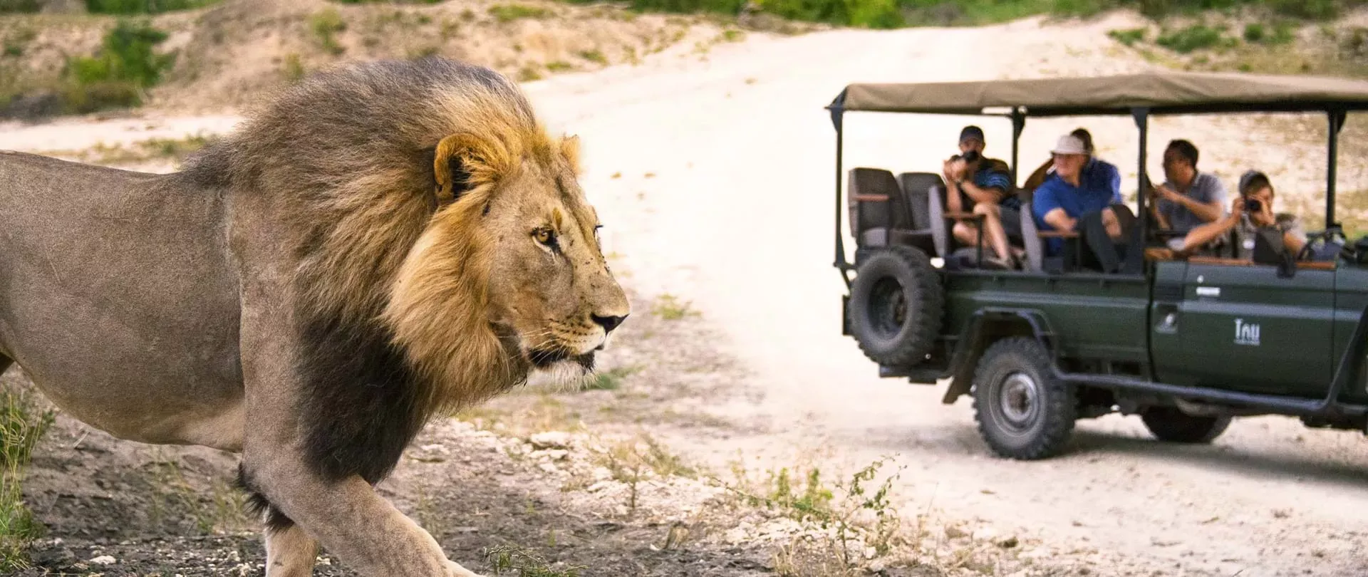 Cape Town & Safári na Reserva Privativa de Madikwe
