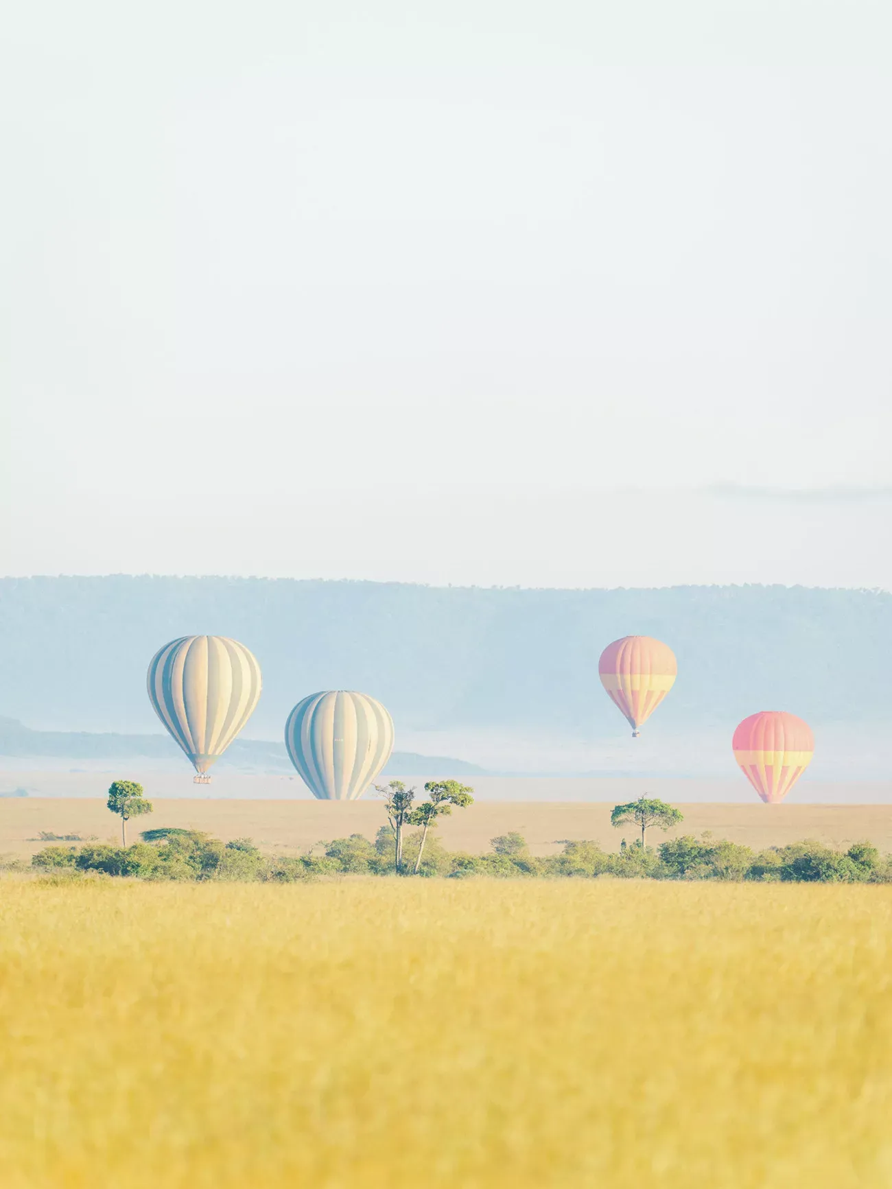 Safari Luxury no Mara Bushtops