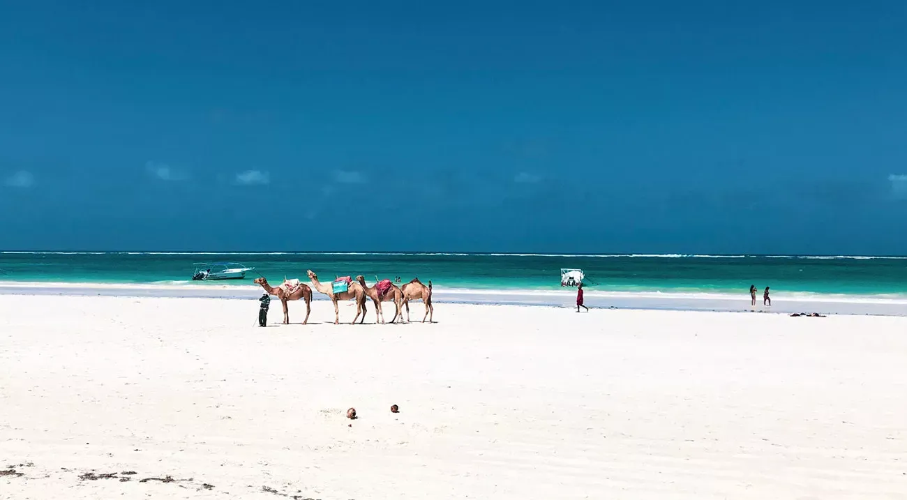 Pessoa em camelo no deserto