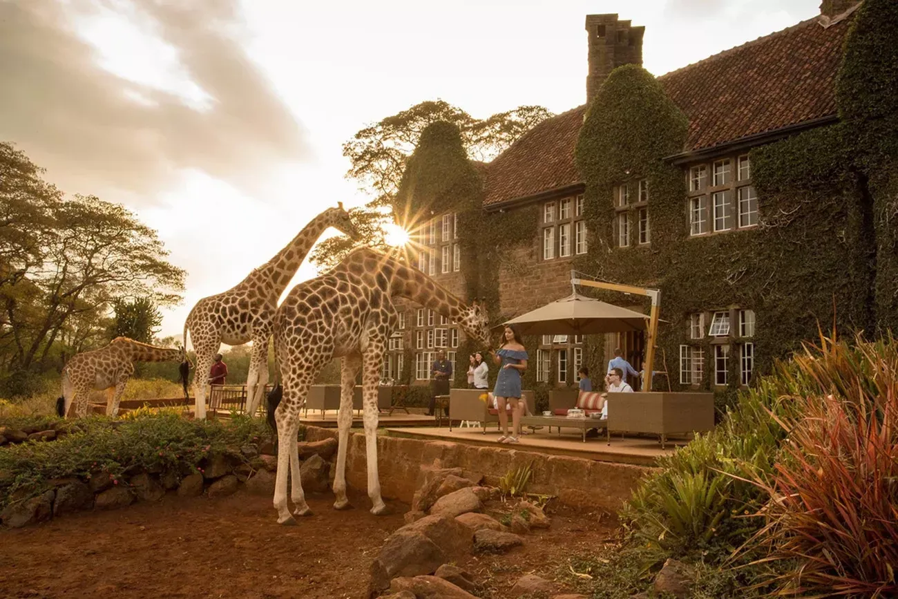 Deluxe Safari de Karibu Quênia