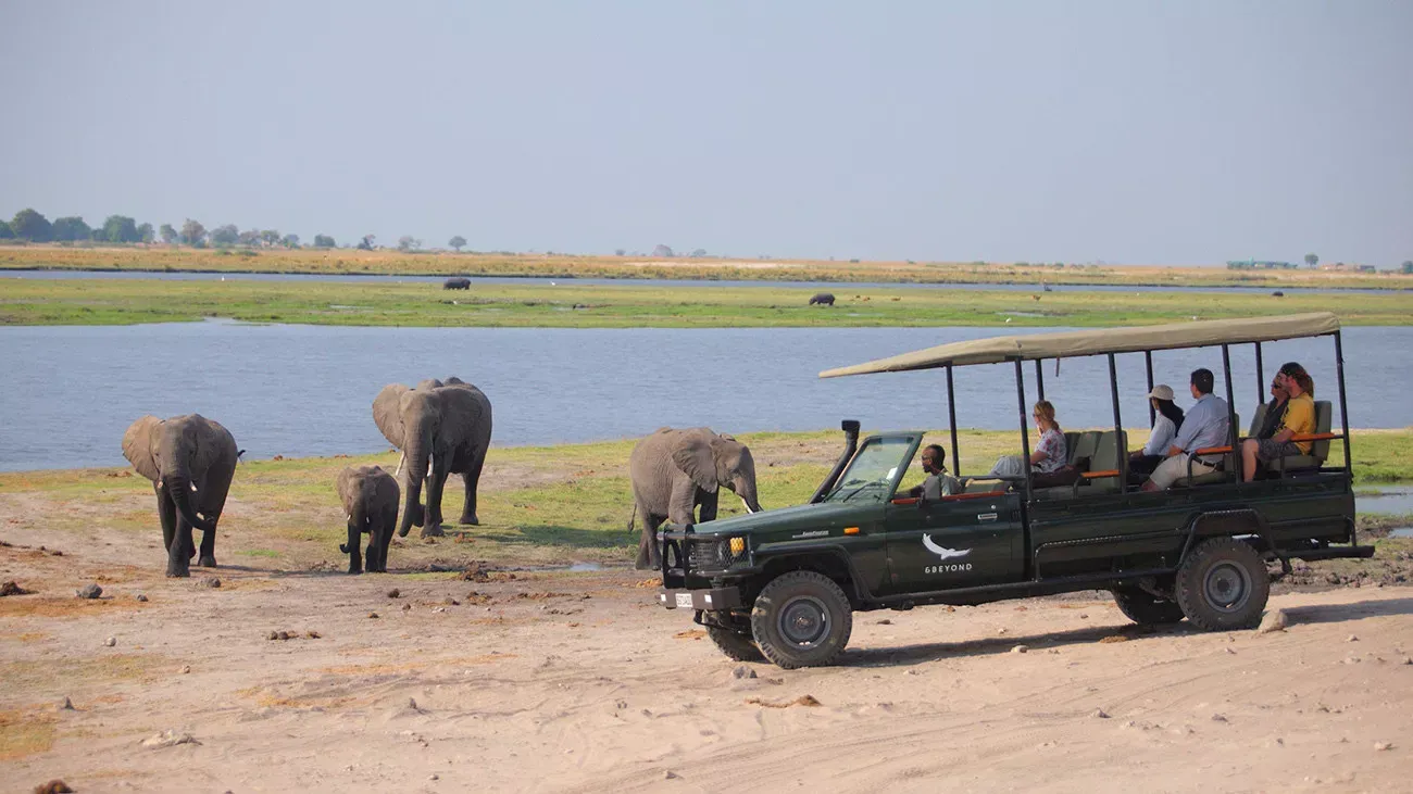Botswana e Zâmbia os Santuários da África Austral
