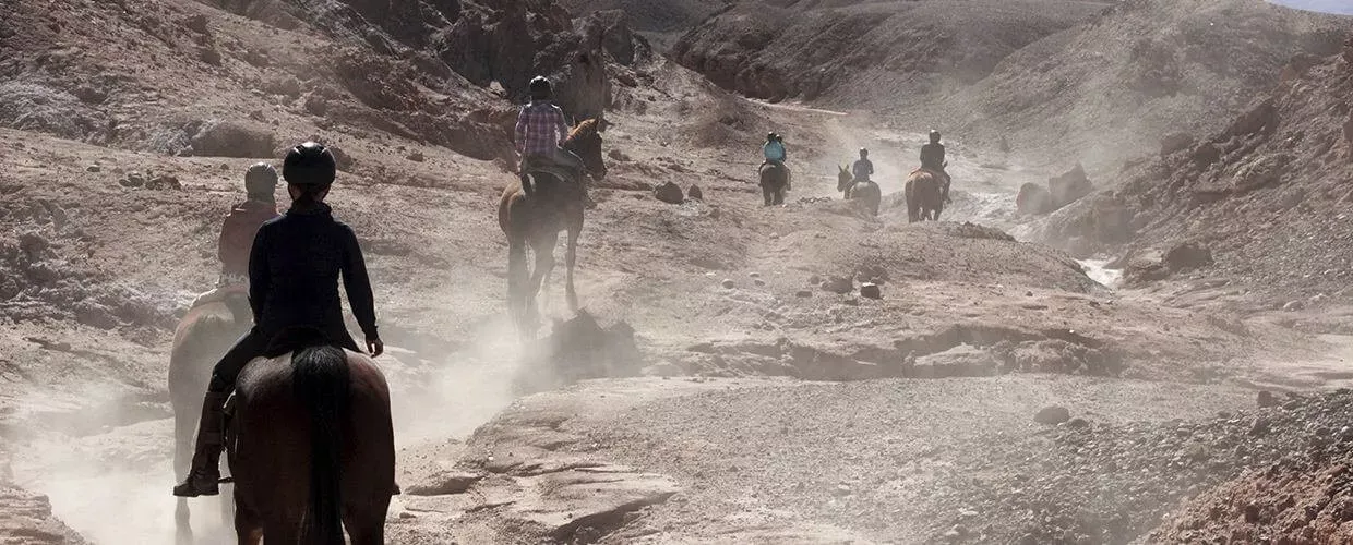 Pessoa em camelo no deserto