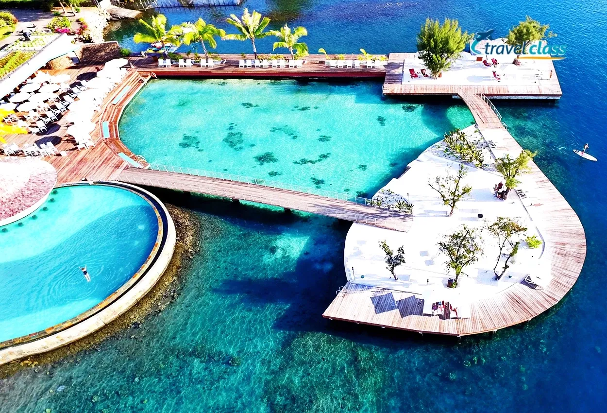 Coral Garden