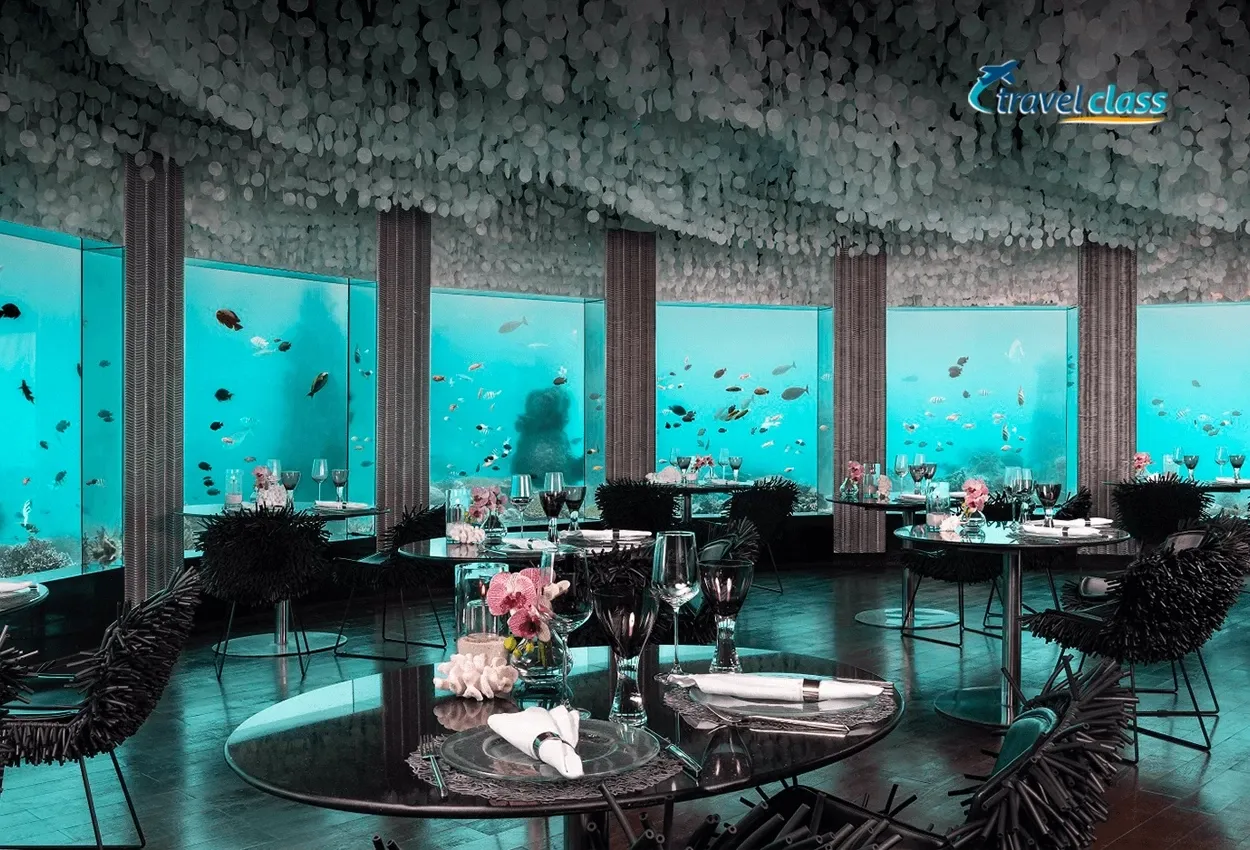 Maldivas by Niyama Private Islands Maldives