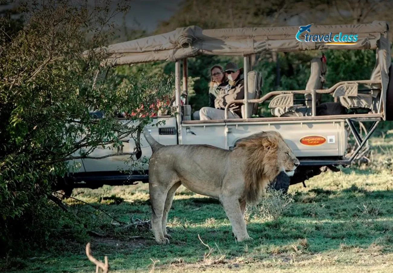 Masai Mara by Porini Camps