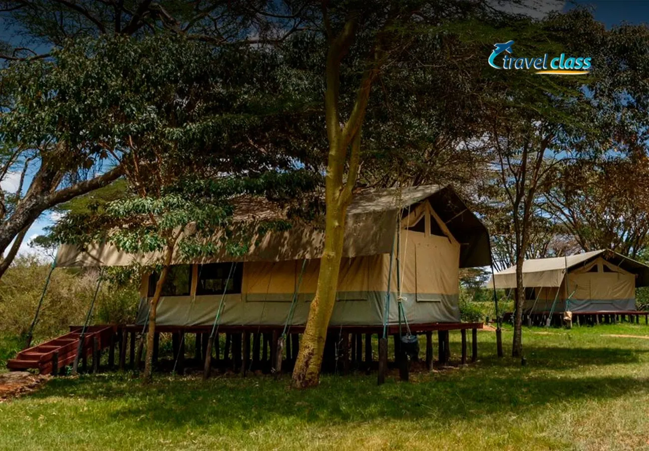 Masai Mara by Porini Camps