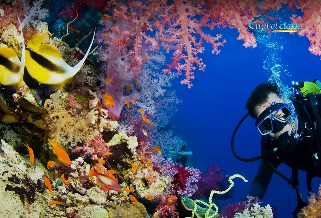 Sharm El Sheikh