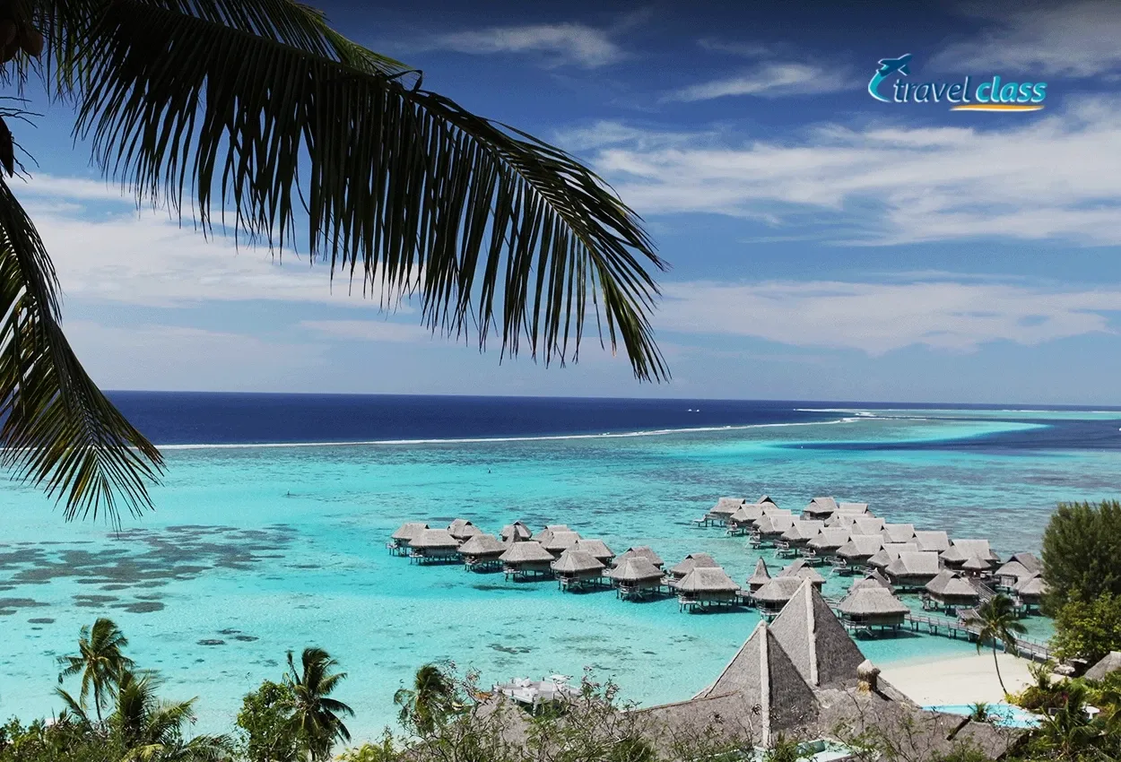 Paradise