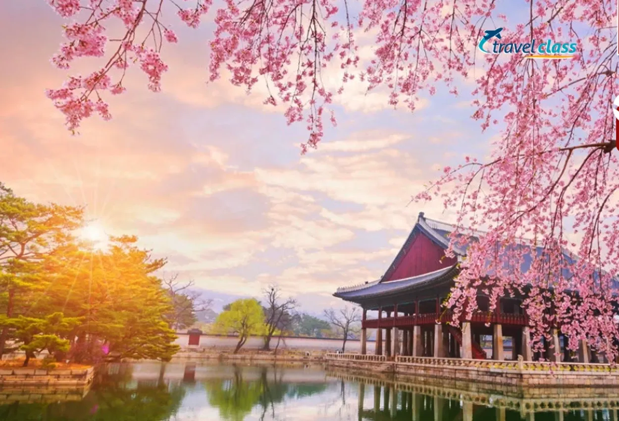 Coreia e Jeju ao seu alcance