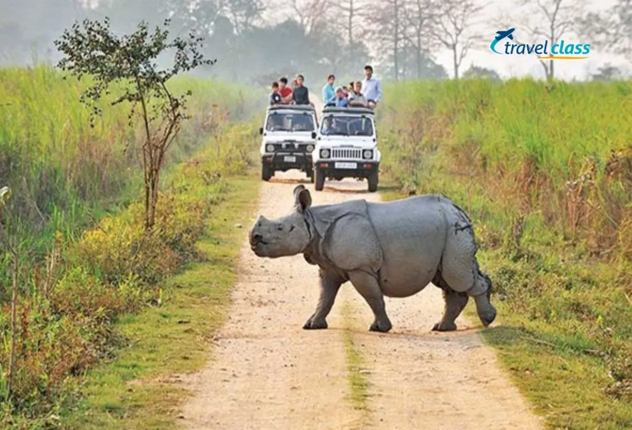 Safari 4X4 - rinoceronte na trilha