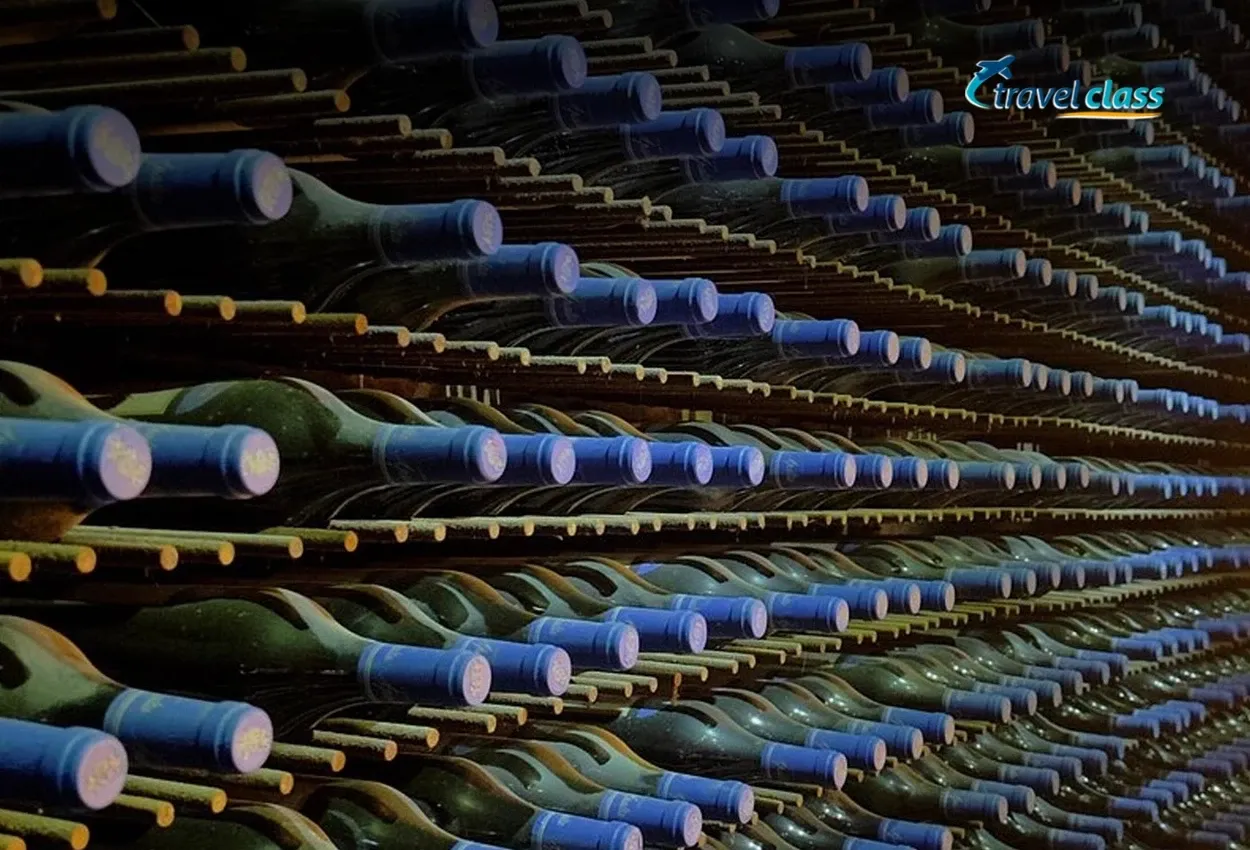Vinícola Clos Apalta