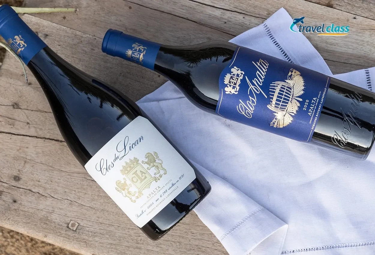 Vinícola Clos Apalta