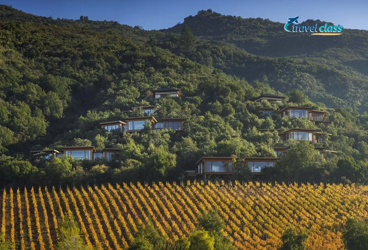 Vinícola Clos Apalta