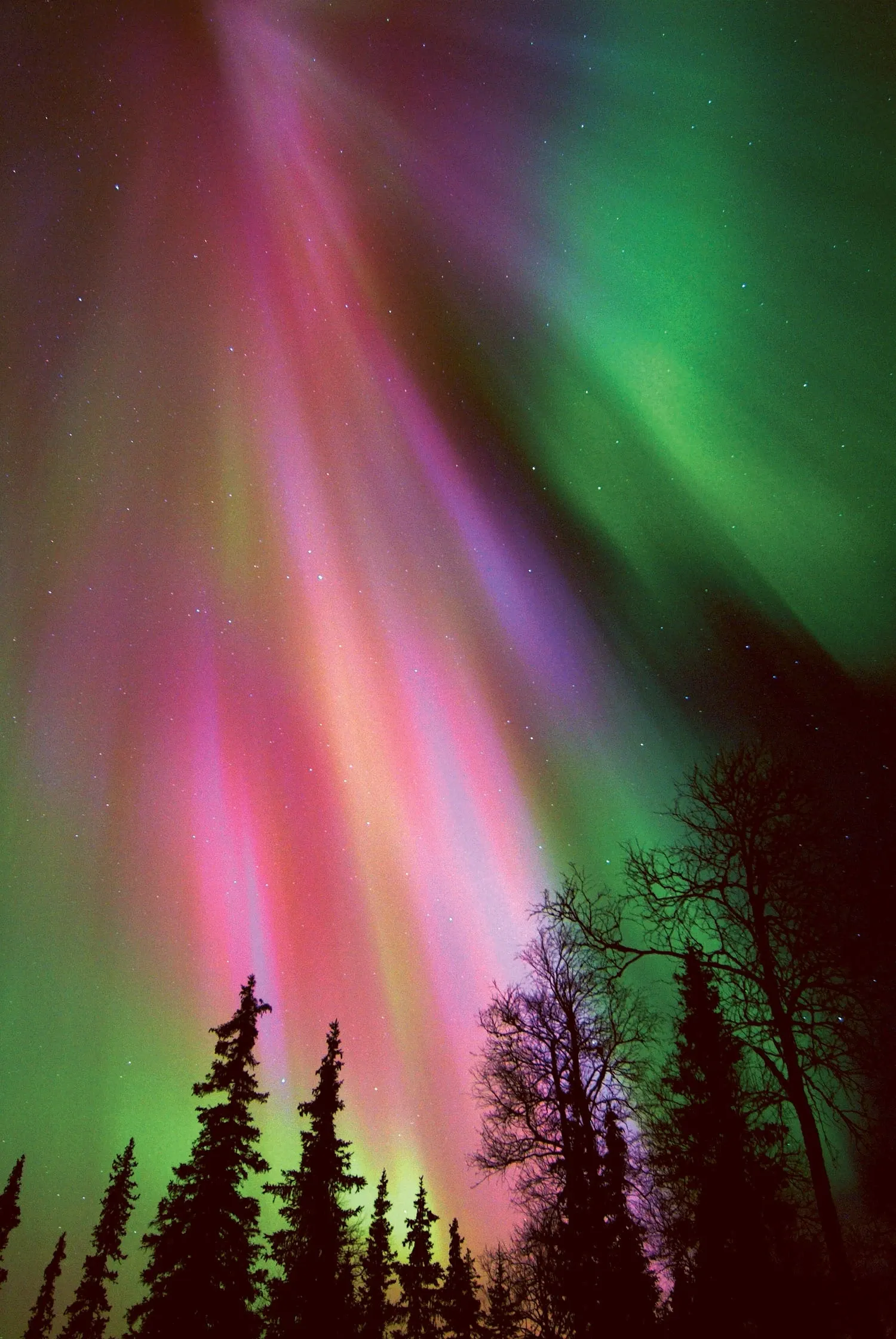 Foto Vertical da Aurora Boreal na Lapônia Finlândia