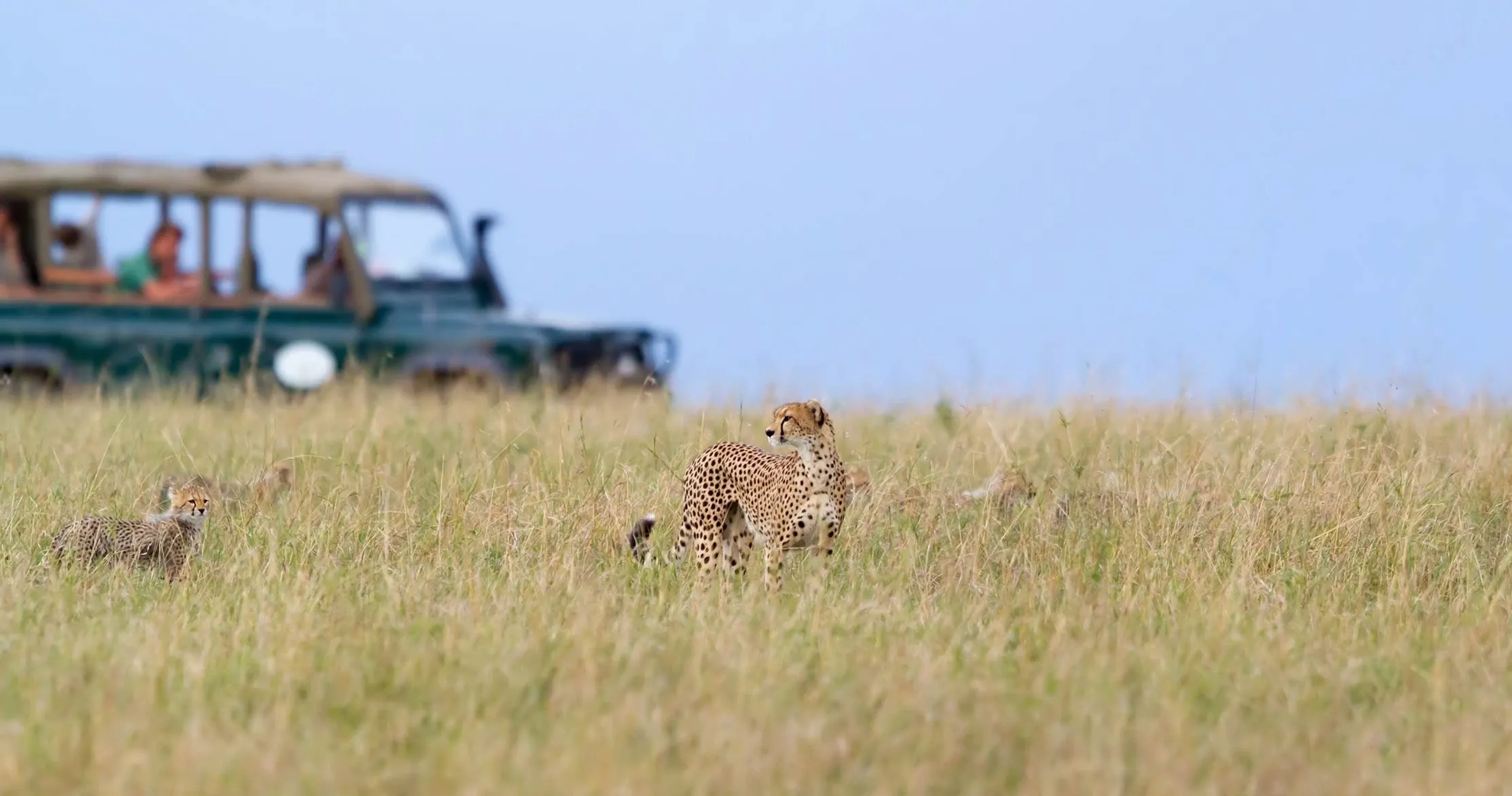 kenya-masai-mara