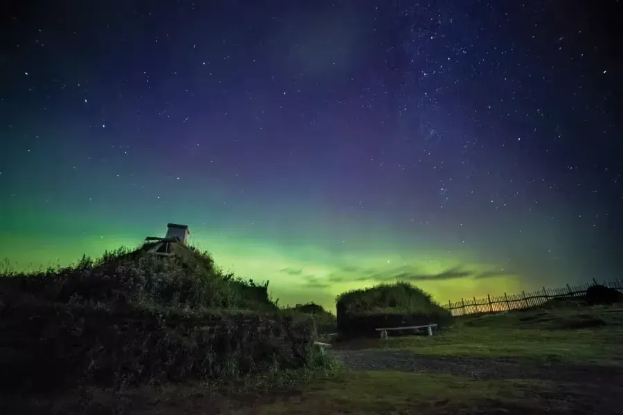 groenlandia-terranova-boreal
